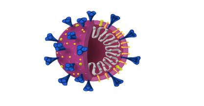 Immune Dysregulation in Post-COVID-19 Syndrome: A Comprehensive Review