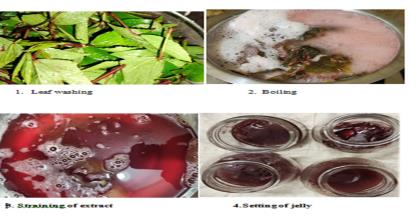 Preparation and Sensory Evaluation of Jelly, Using Hibiscus Sabdariffa (Ambadi Bhaji)